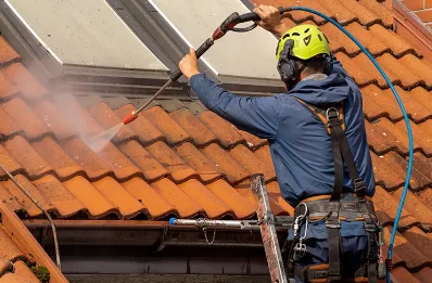 Démoussage et hydrofuge de toiture à Thénac
